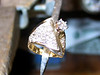 madjeweler > Created Jewelry photo