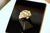madjeweler > Moderators Ring photo